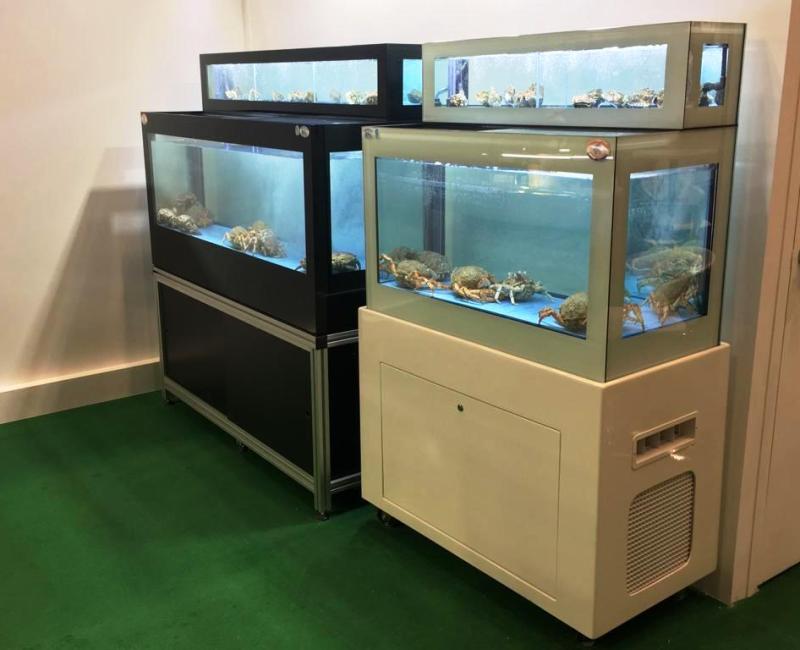 EQUIPO CON DOBLE ALTURA - Acuarios y Viveros de marisco Tecnomar